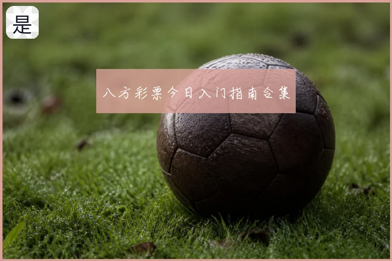 八方彩票今日入门指南合集